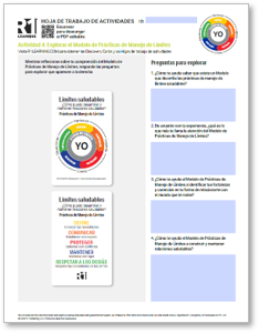 Healthy Boundaries Activity Worksheets (Spanish)
