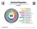 Emotional Regulation Poster 2