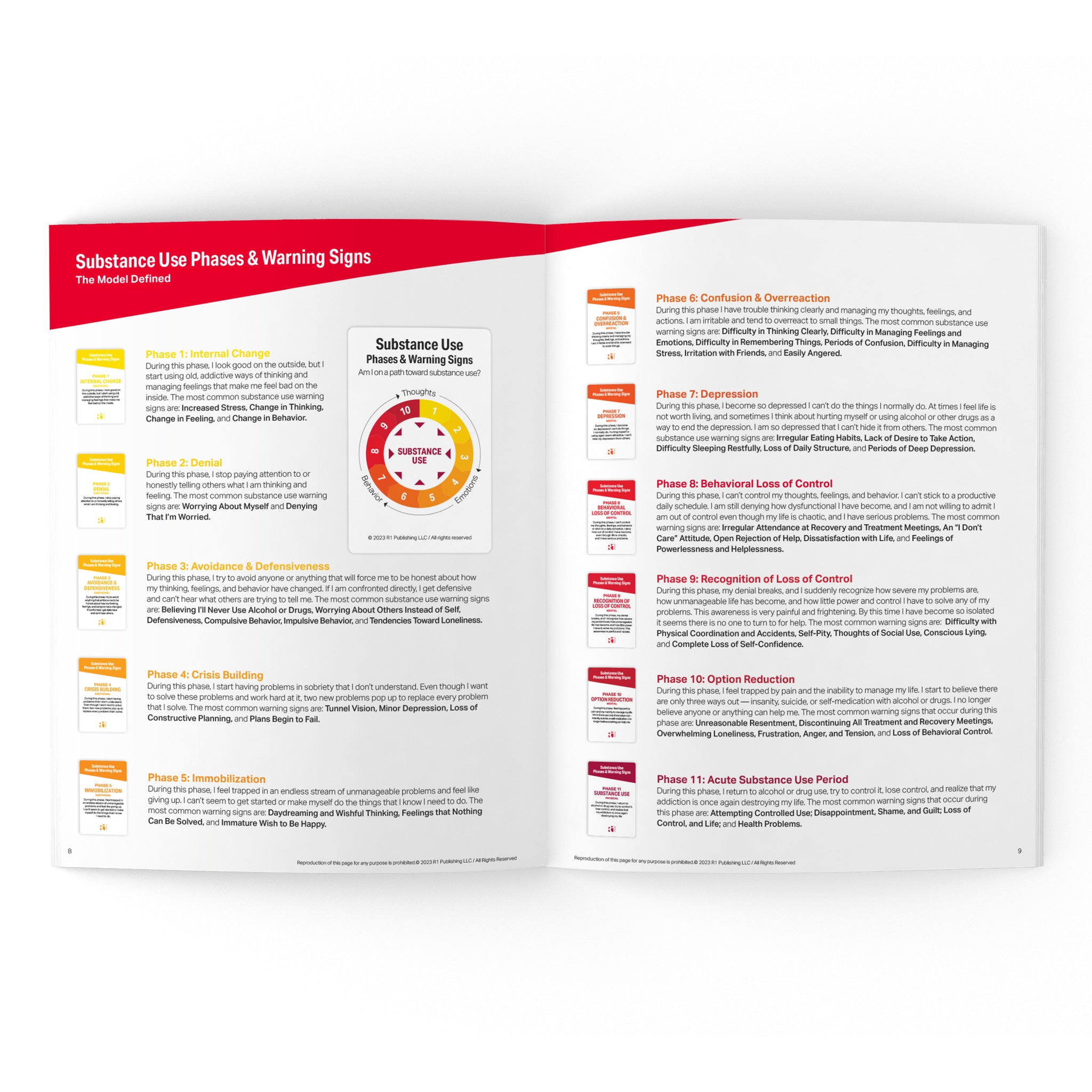 Substance Use (Relapse) Warning Signs Group Kit — 12 decks