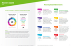 Recovery Capital Facilitator Guide