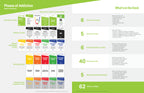Phases of Addiction Group Kit — 12 decks