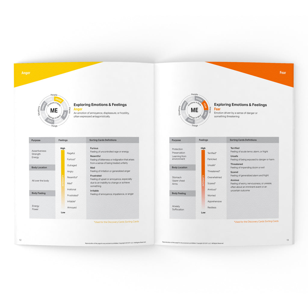 Emotions & Feelings Facilitator Guide